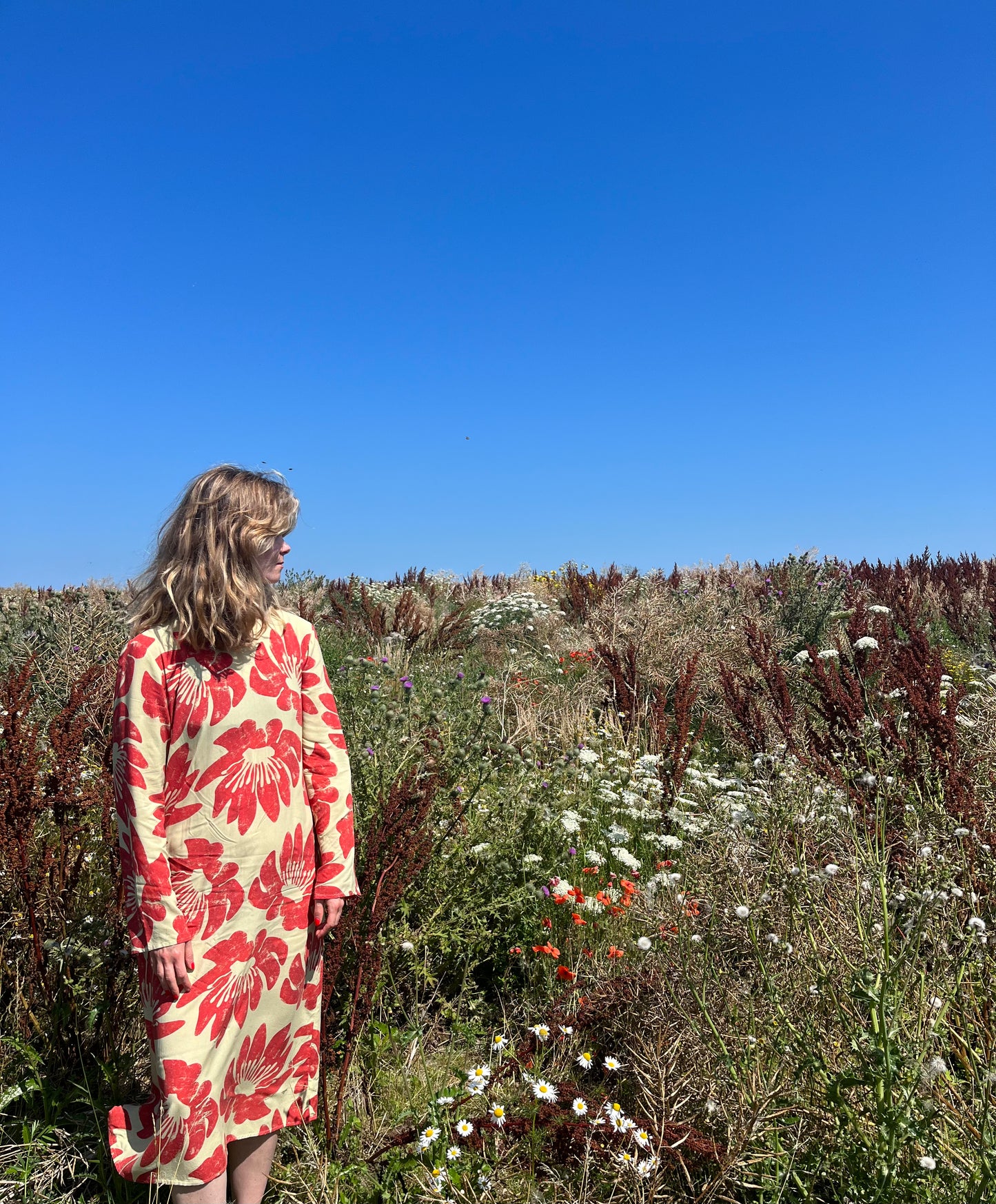 Queen Of The Night Dress (Red)