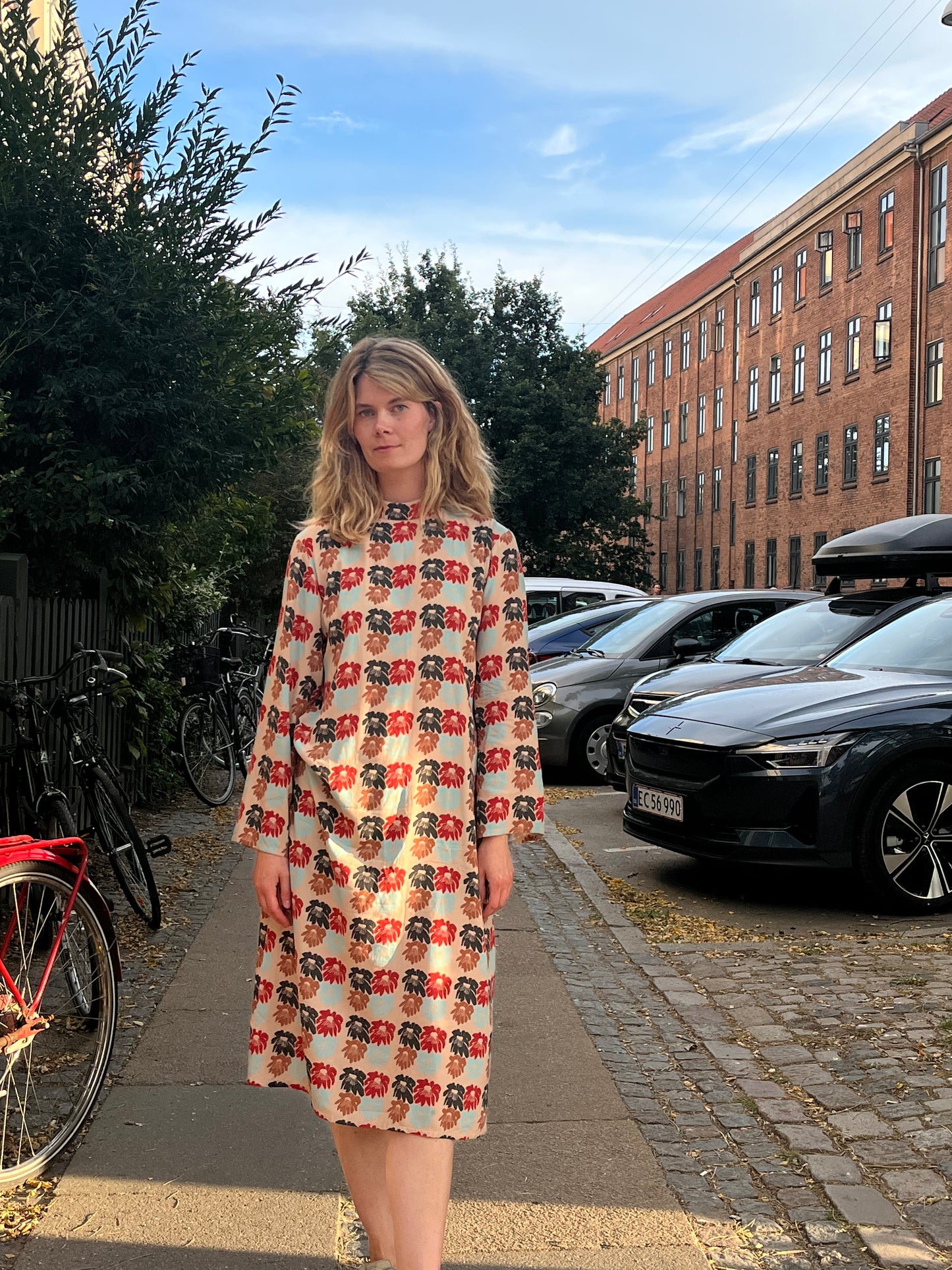 Queen Of The Night Dress